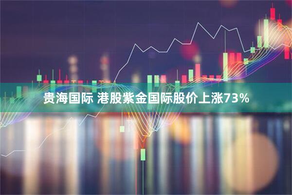 贵海国际 港股紫金国际股价上涨73%