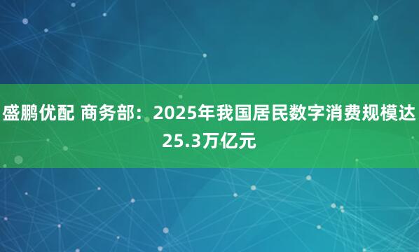 盛鹏优配 商务部:2025年我国居民数字消费规模达25.3万亿元